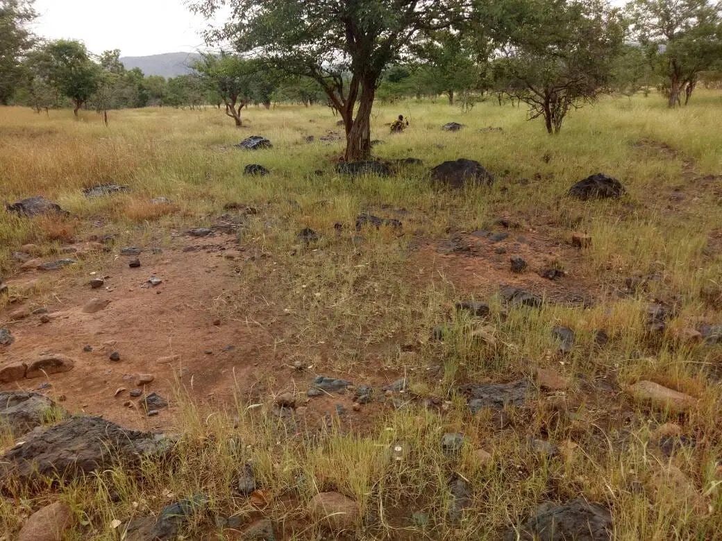 Zone d'exploration minière — savane et affleurements